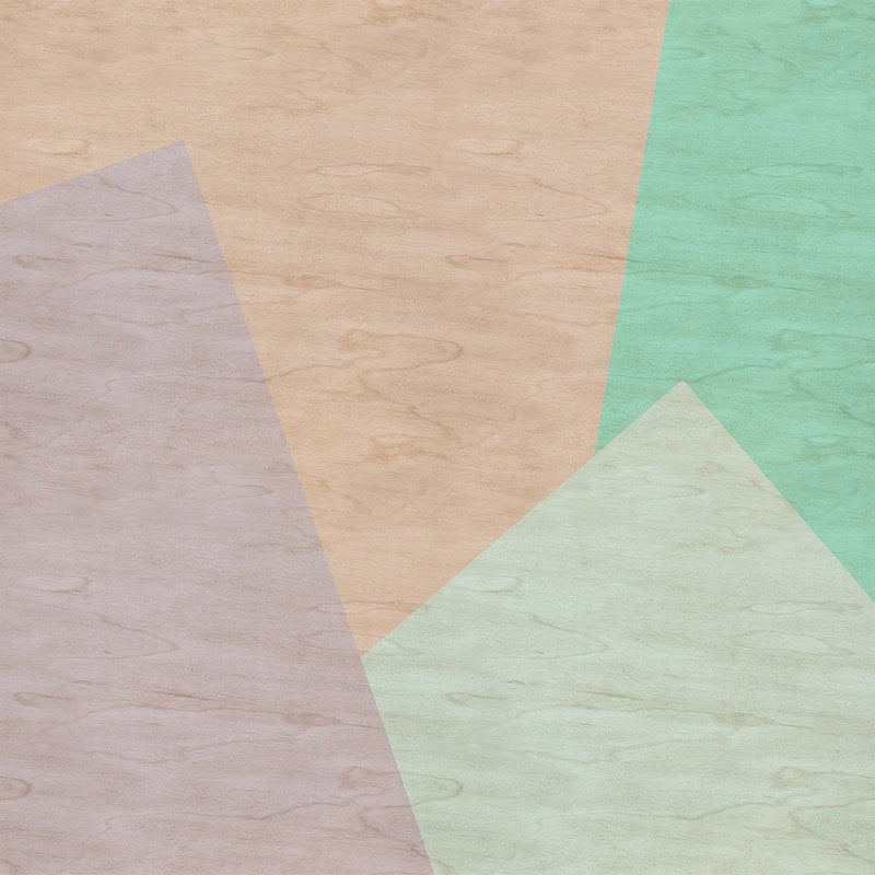 Fotomural Walls by Patel - Inaly 1 - Abstract, colourful photo wallpaper in plywood structure - Beige, Green