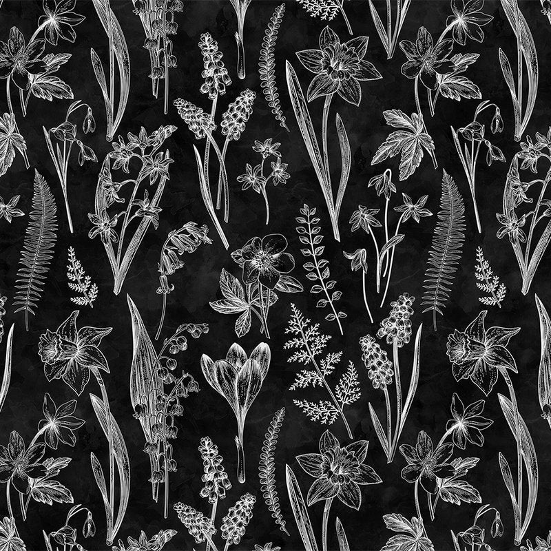 Fotomural Walls by Patel - Photo wallpaper black and white botanical design