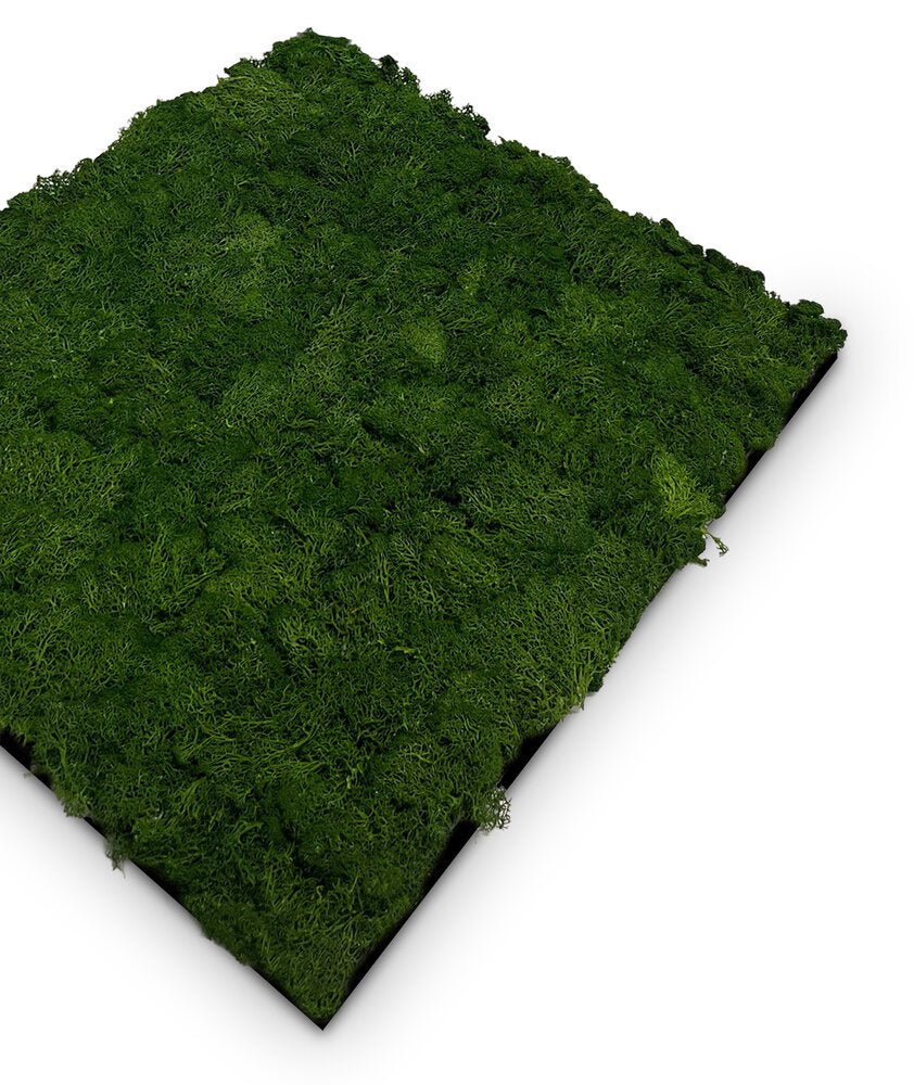 Panel Modular Wall - Dark Green 52 x 52 x 4 cm (13667-8) - Imagen 2