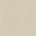 521450 Cemento Rasch