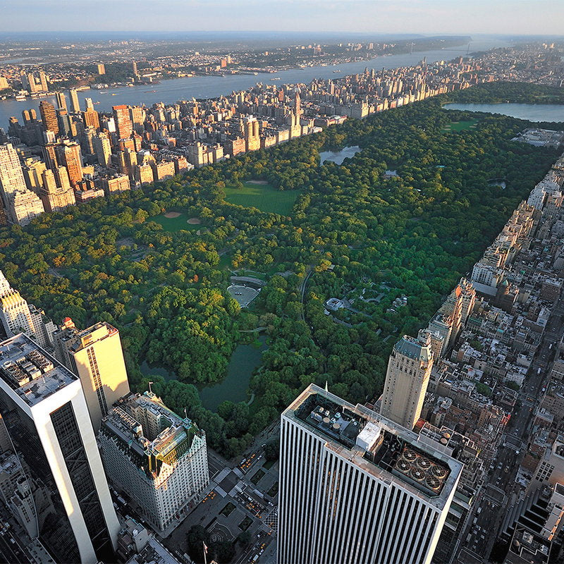 Fotomural XXL 3 - Centralpark Ny