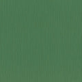 537673 Curiosity Rasch
