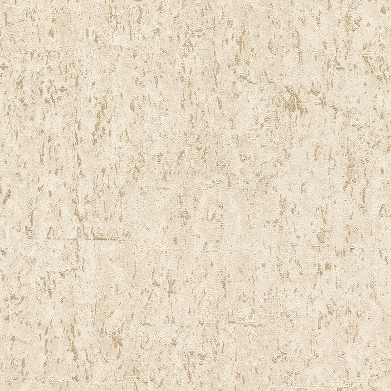 538328 Curiosity Rasch