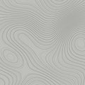 Fotomural Walls by Patel - Topographic photo wallpaper with line pattern - grey