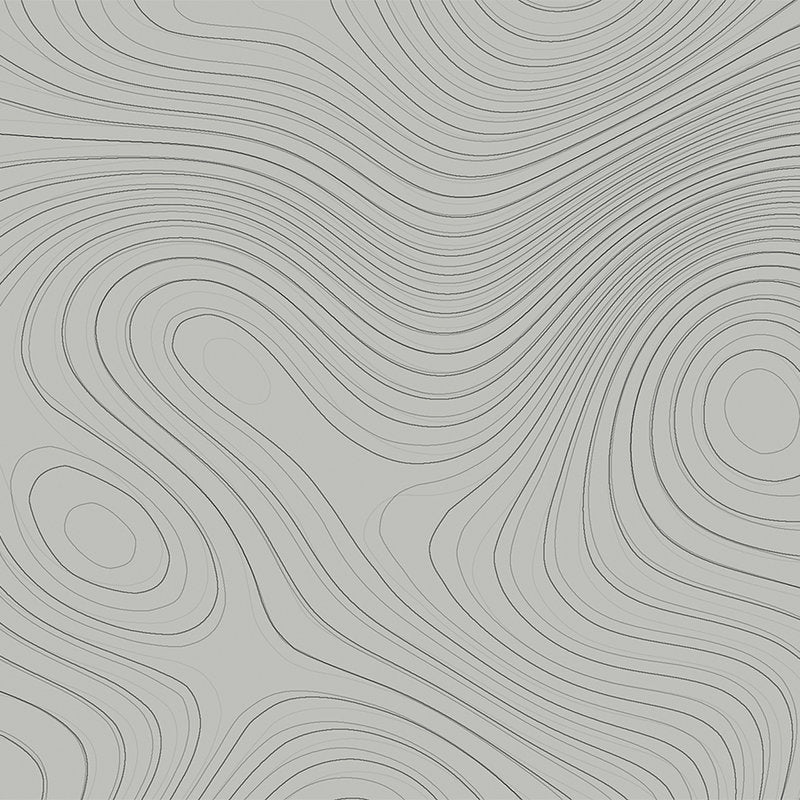 Fotomural Walls by Patel - Topographic photo wallpaper with line pattern - grey
