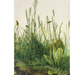 Fotomural Photo wallpaper narrow blades of grass & dandelion - DD Motive 2