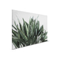 Jungla urbana 2 - Cuadro lienzo hojas de palmera, estructura lino natural plantas exóticas