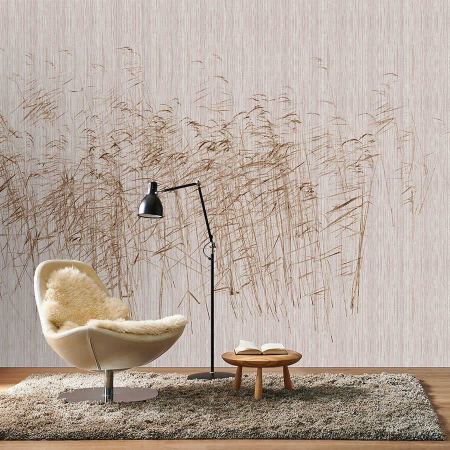 Fotomural Walls by Patel - At the Pond 3 - Photo wallpaper reeds at the pond in brown & grey