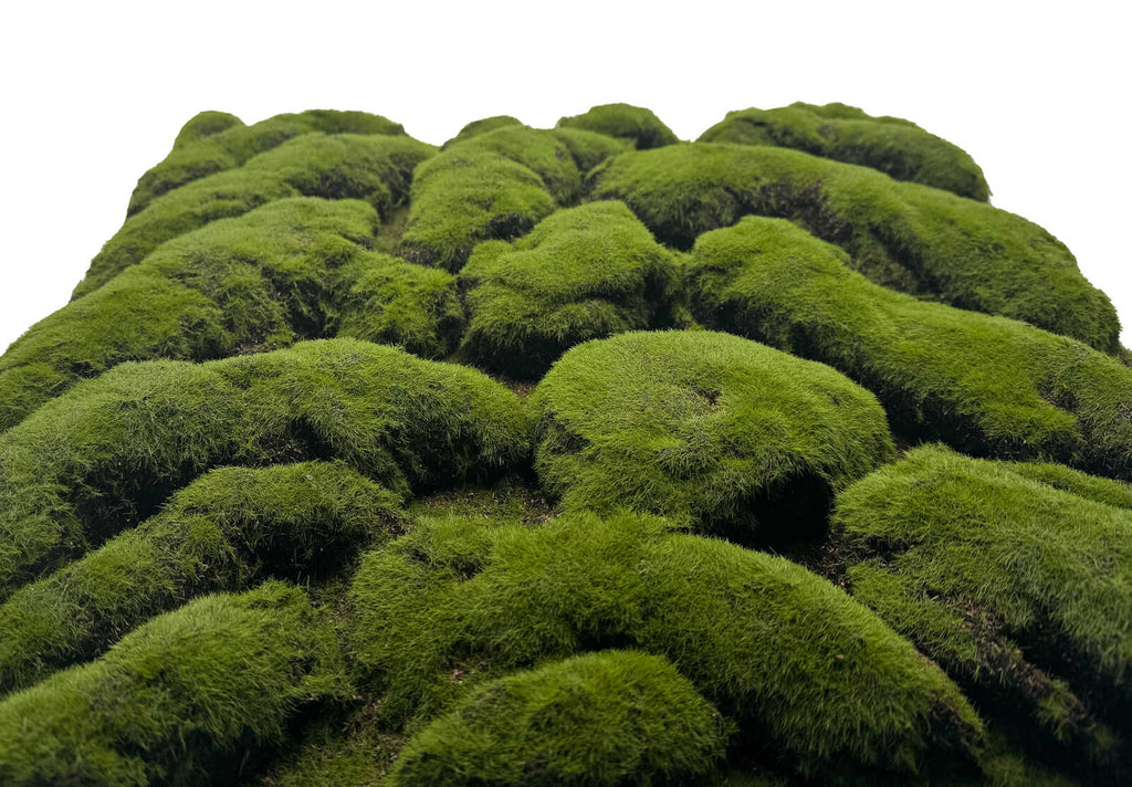 Panel Modular Wall - Forest Green Big Bulk 52 x 52 x 2.6 cm (13668-4) - Imagen 4