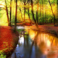 Fotomural Panel XXL 5 - Nature mural forest with river course on premium smooth nonwoven