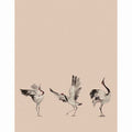 63442 Crush Motion Marburg Papel pintado - Foto 1
