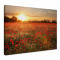 Cuadro en lienzo con campo de amapolas al atardecer