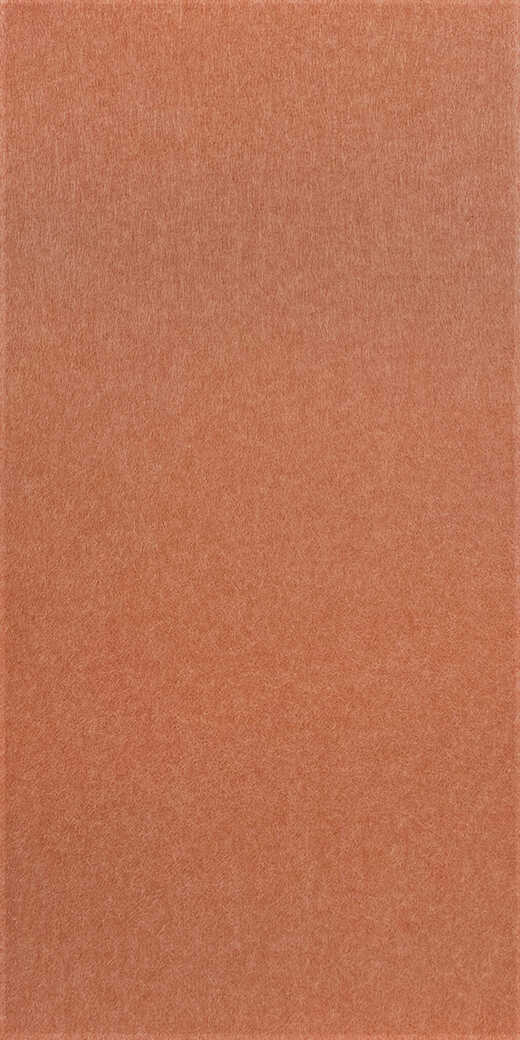 Panel Modular Wall - Coral Peach 104 x 52 x 0.6 cm (13674-8) - Imagen 3