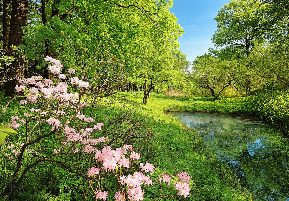 Fotomural Photo wallpaper landscape in spring, nature shot - DD Motive 2