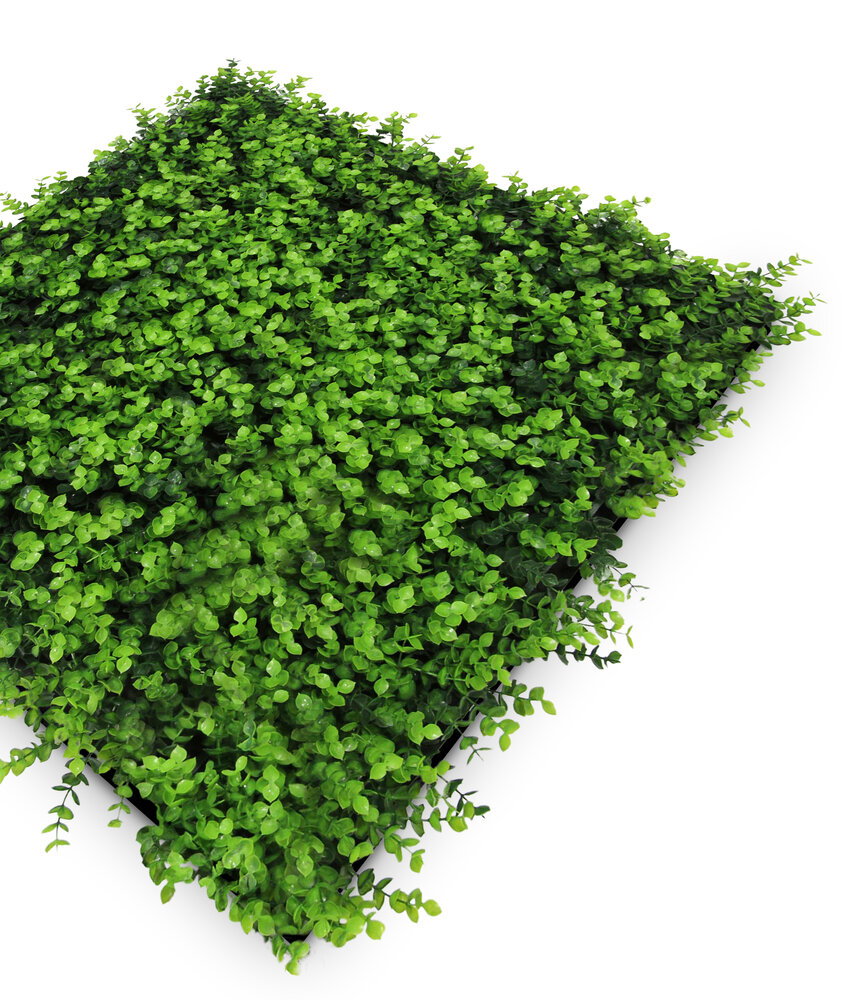 Panel Flora de Diseno Mixed Green Design Buxus - Modular Wall - Foto 3