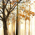 Fotomural Panel XXL 5 - Nature mural autumn forest motif on premium smooth fleece