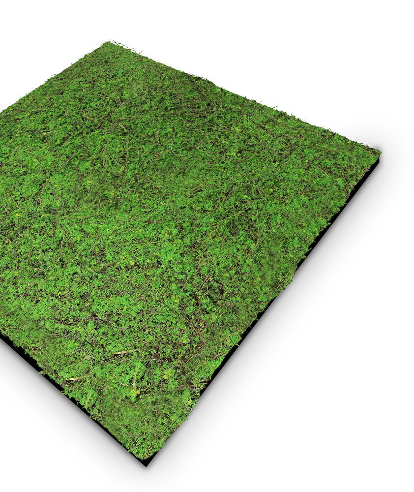 Panel Vegetal Forest Green Ancient Tree - Modular Wall - Foto 3