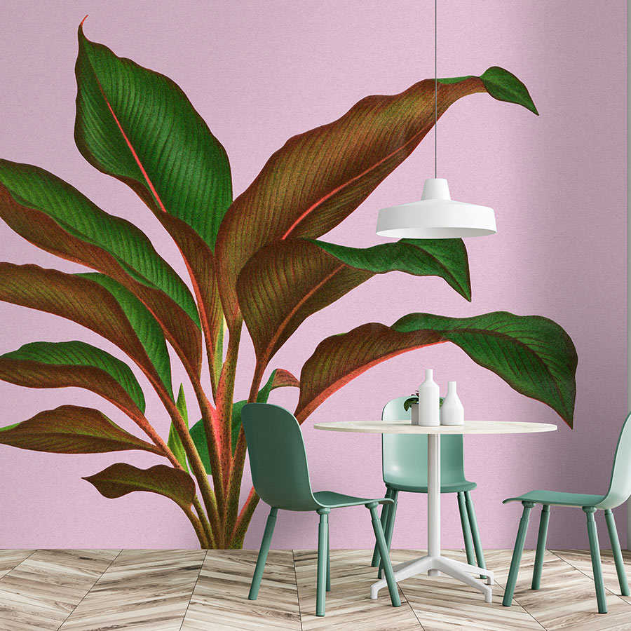 Fotomural Walls by Patel - Leaf Garden 3 - leaves mural pink with tropical fern leaf