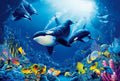 Fotomural Underwater wall mural Whales, Corals & Fishes - DD Motive 2
