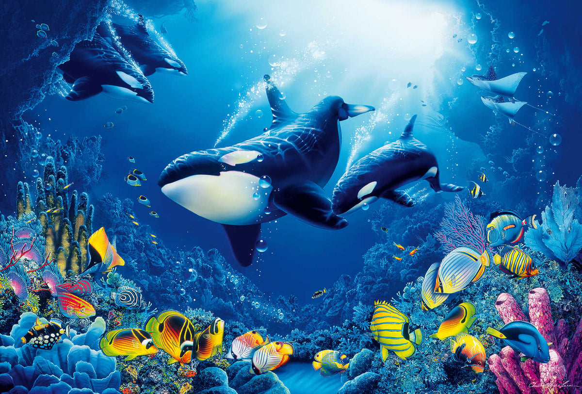 Fotomural Underwater wall mural Whales, Corals & Fishes - DD Motive 2