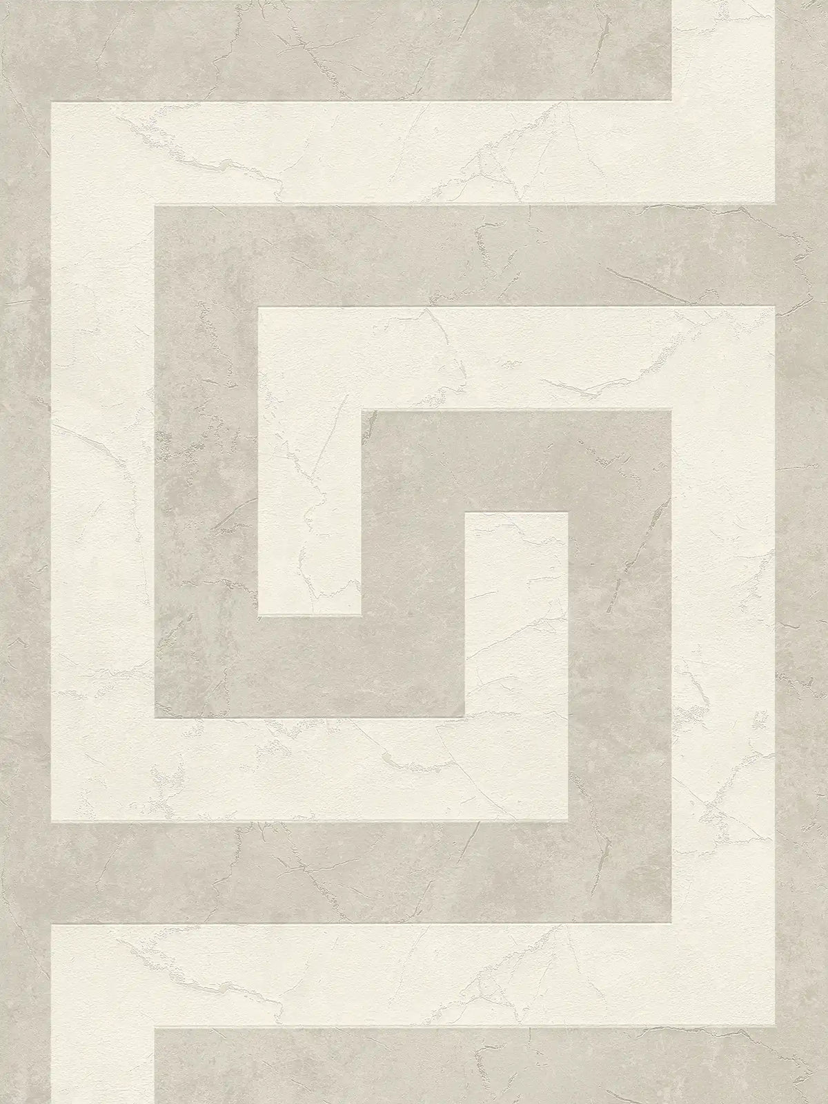 Papel pintado no tejido VERSACE con estructuras cuadradas jaspeadas mate, en parte brillante ligeramente texturado - gris, Metálico