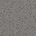 704358 Kalahari Rasch