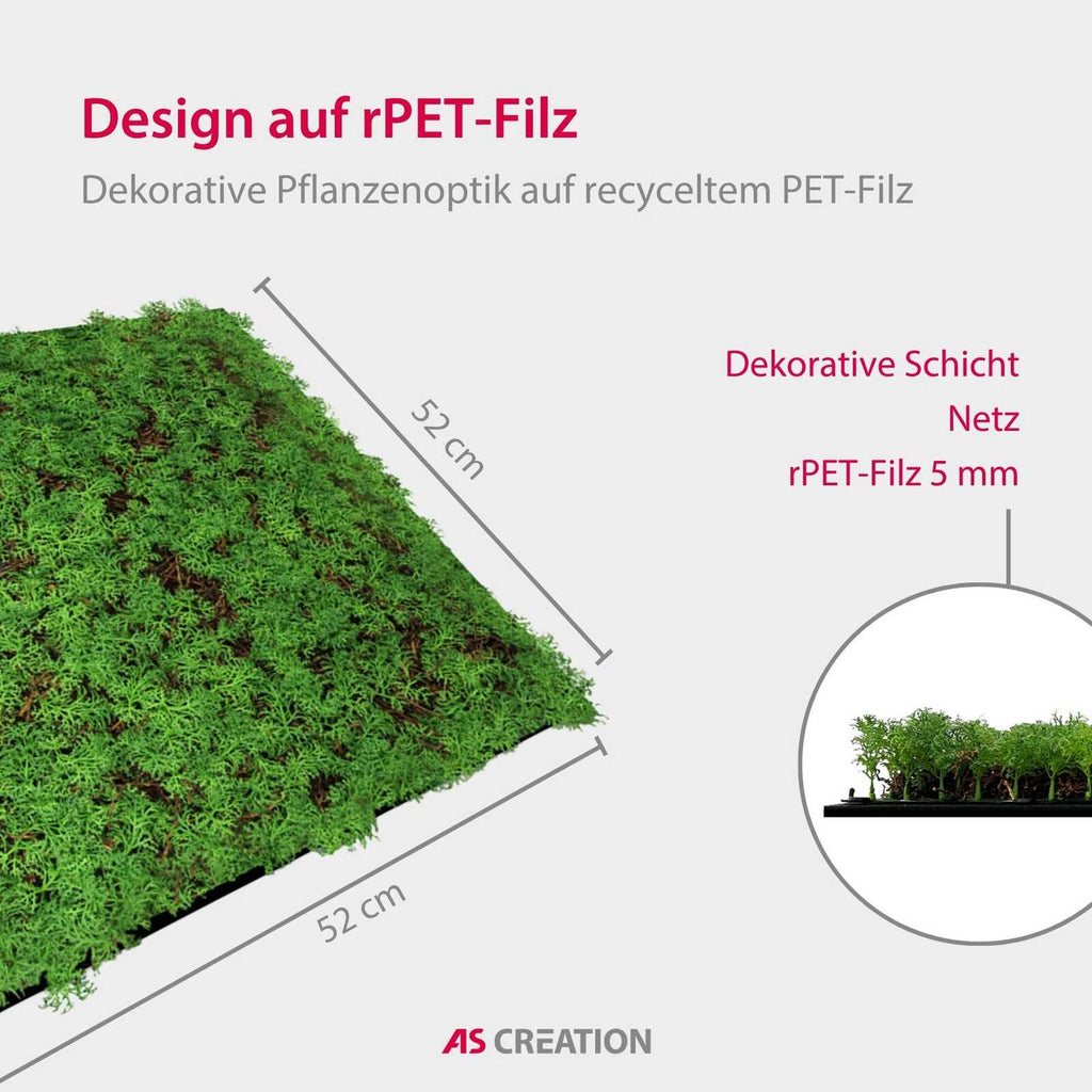 Panel Vegetal Thuja Tea Tree - Modular Wall - Foto 9