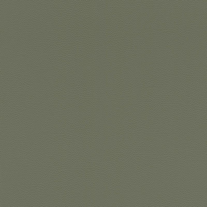 752687 African Queen III Rasch
