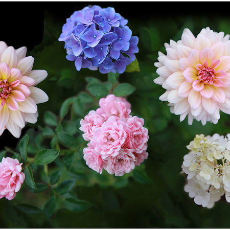 Fotomural Flowers mural with detailed flowers in XXL format - AP Digital 3