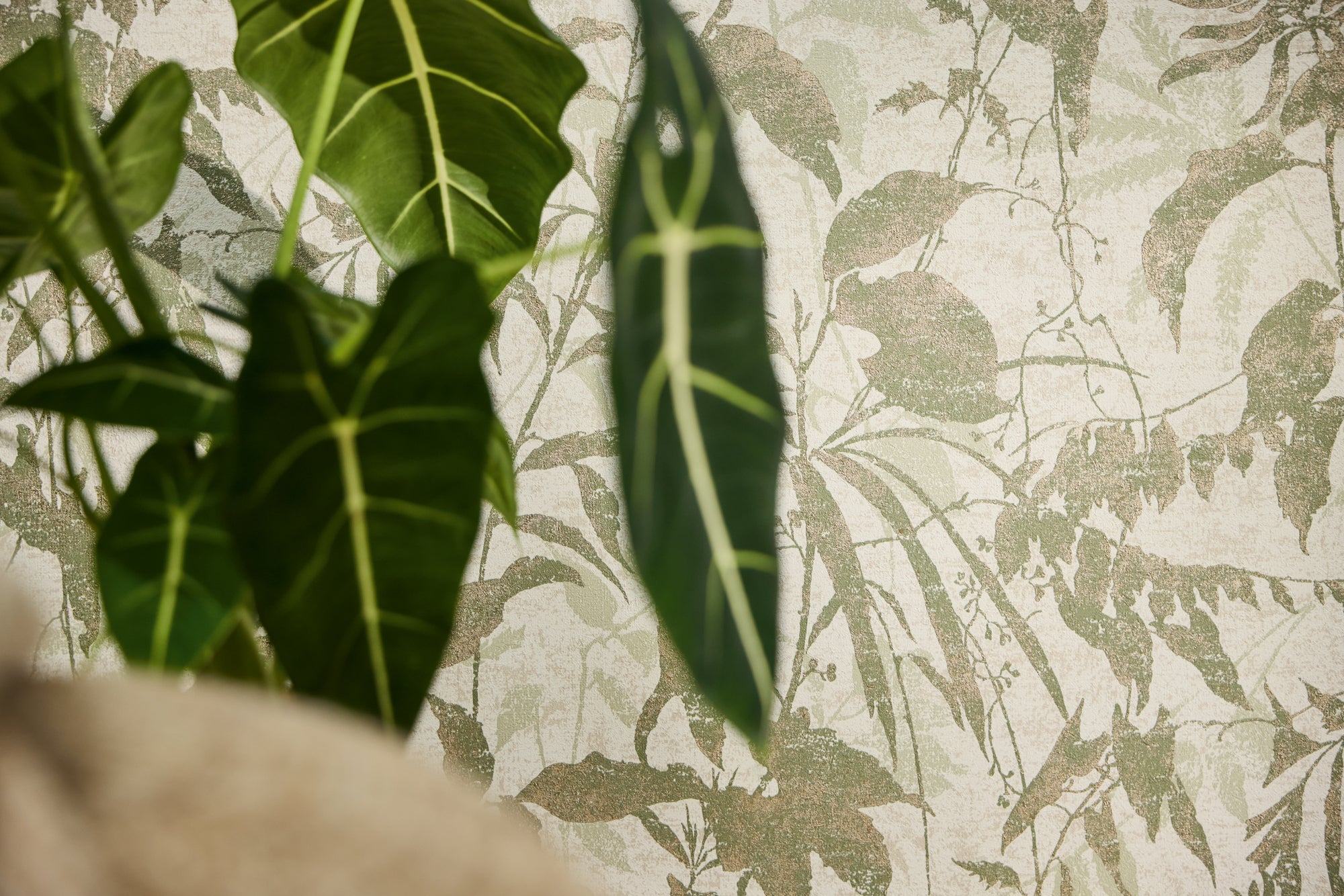 Hochwertige Vliestapete Creme Floral