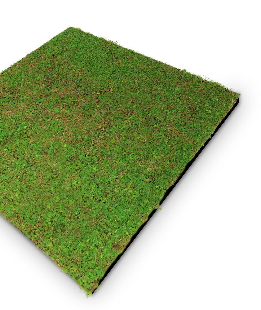 Panel Modular Wall - Light Green Coconut 52 x 52 x 2 cm (13668-1) - Imagen 3