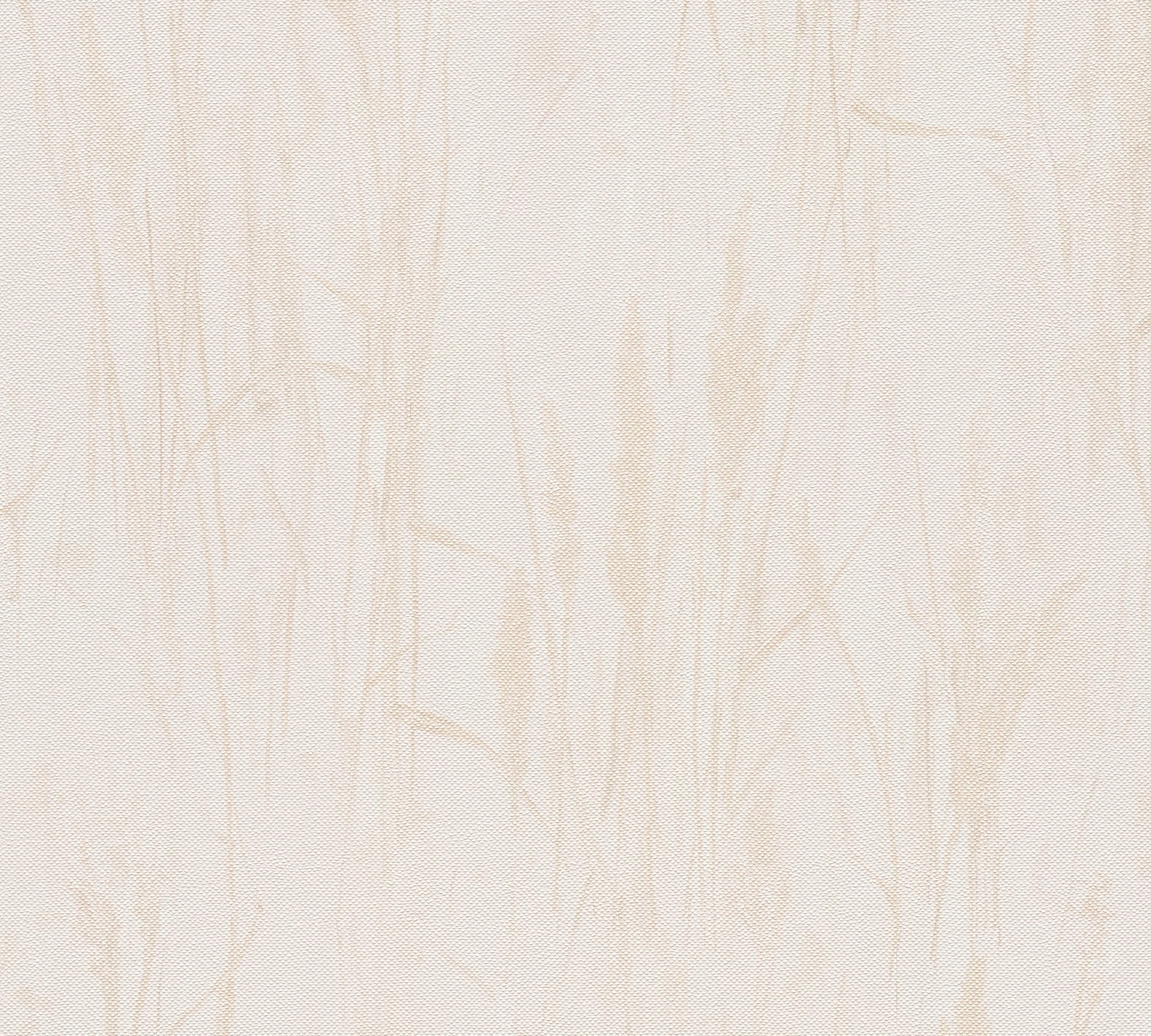 Hochwertige Vliestapete Beige Natur