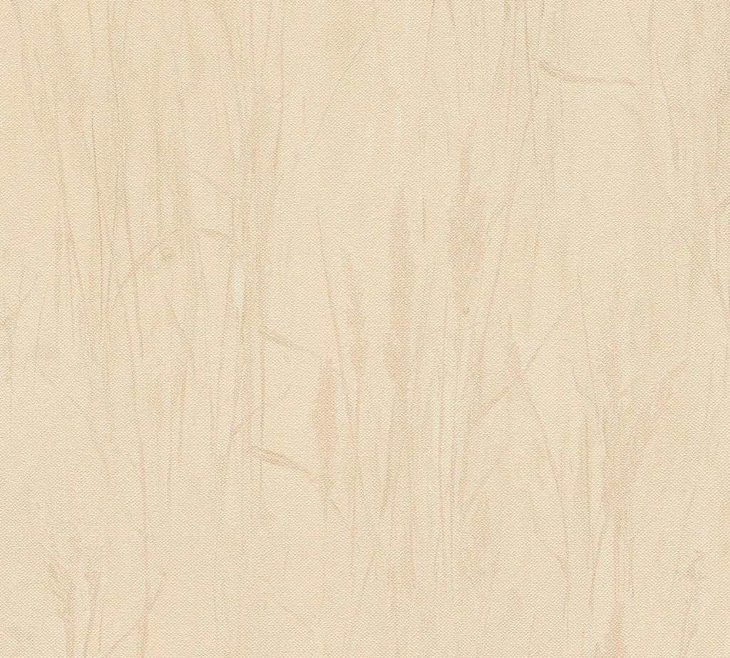 Hochwertige Vliestapete Beige Natur
