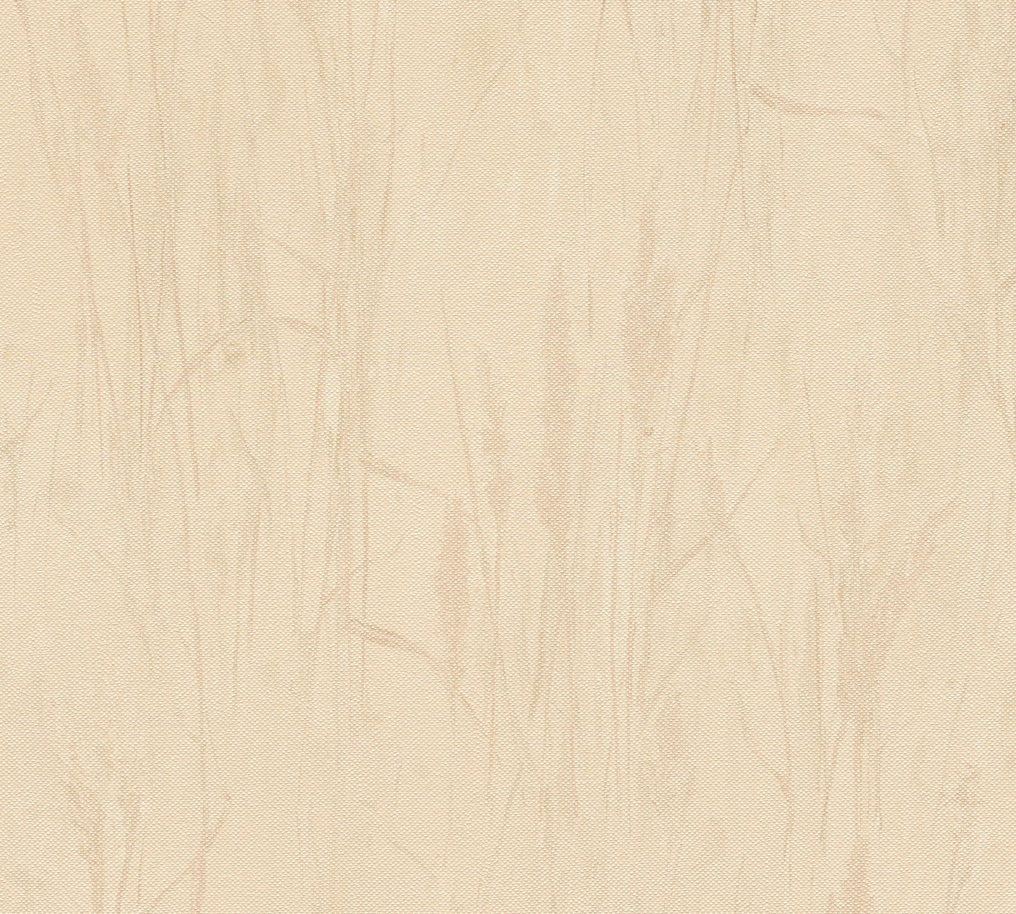 Hochwertige Vliestapete Beige Natur