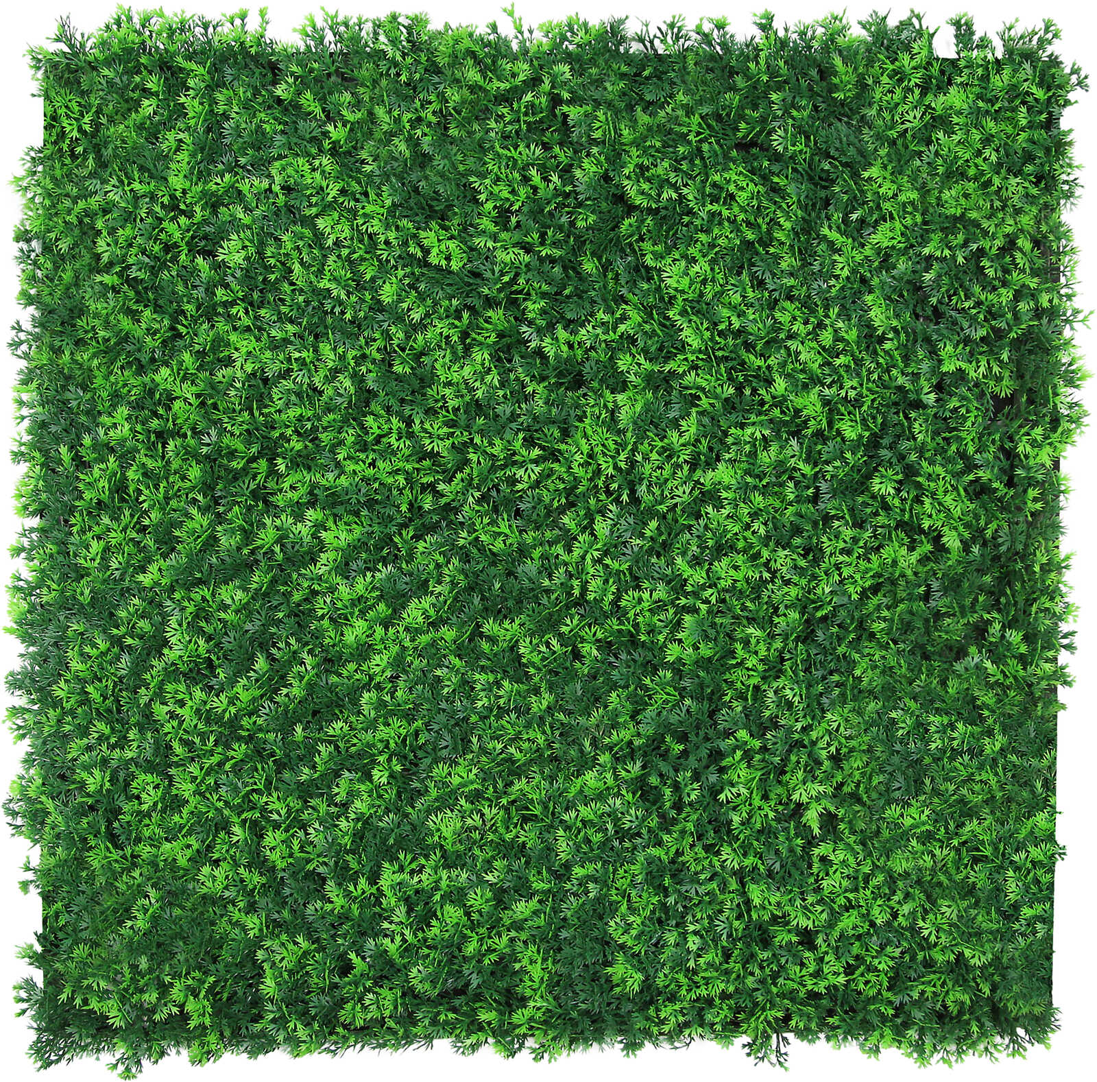 Panel Flora de Diseno Green Blush Mixed Flora - Modular Wall - Foto 27