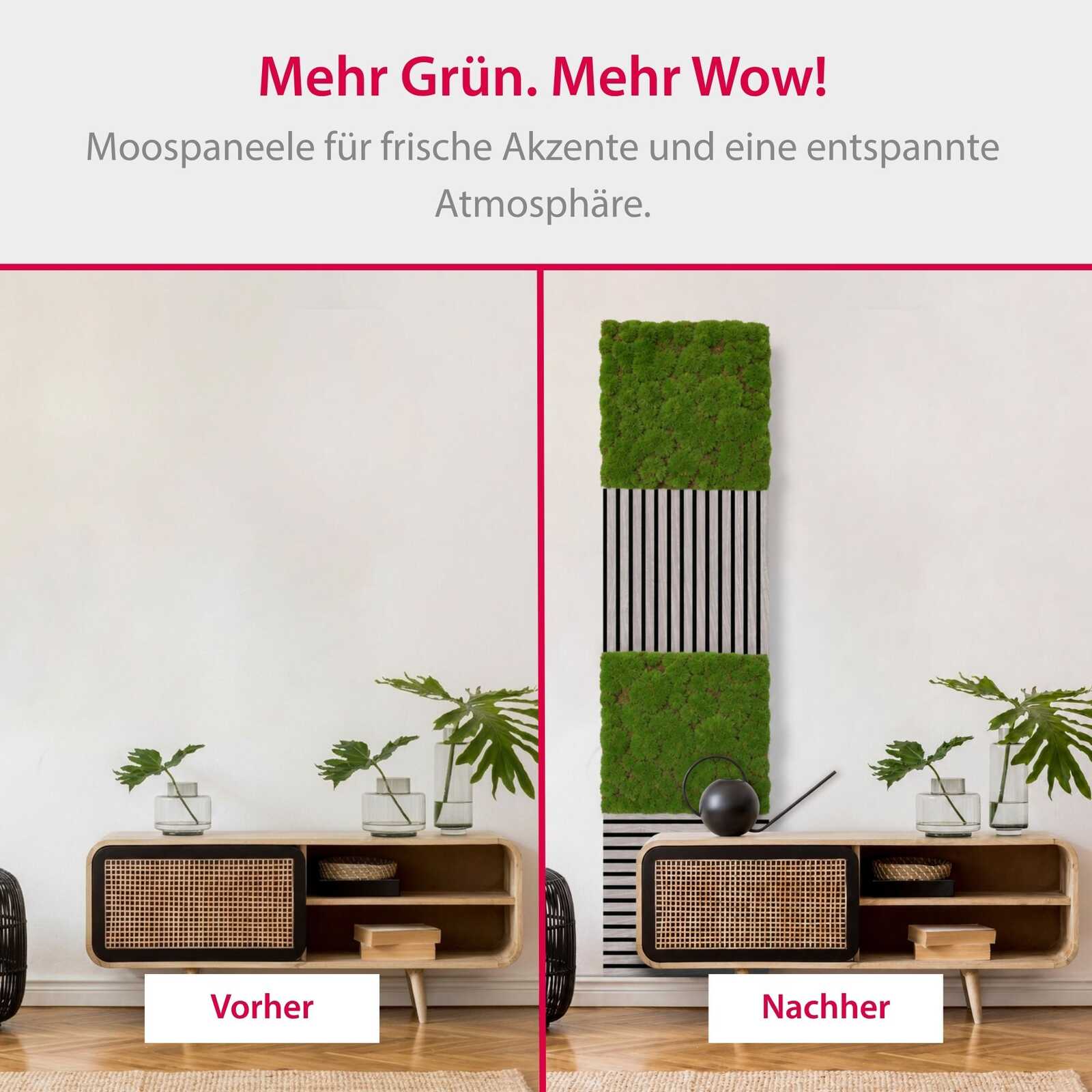 Panel de Musgo de Diseno Forest Green Bulk - Modular Wall - Foto 7