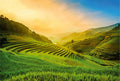 Fotomural Vietnam rice fields at sunrise mural - DD Motive 2
