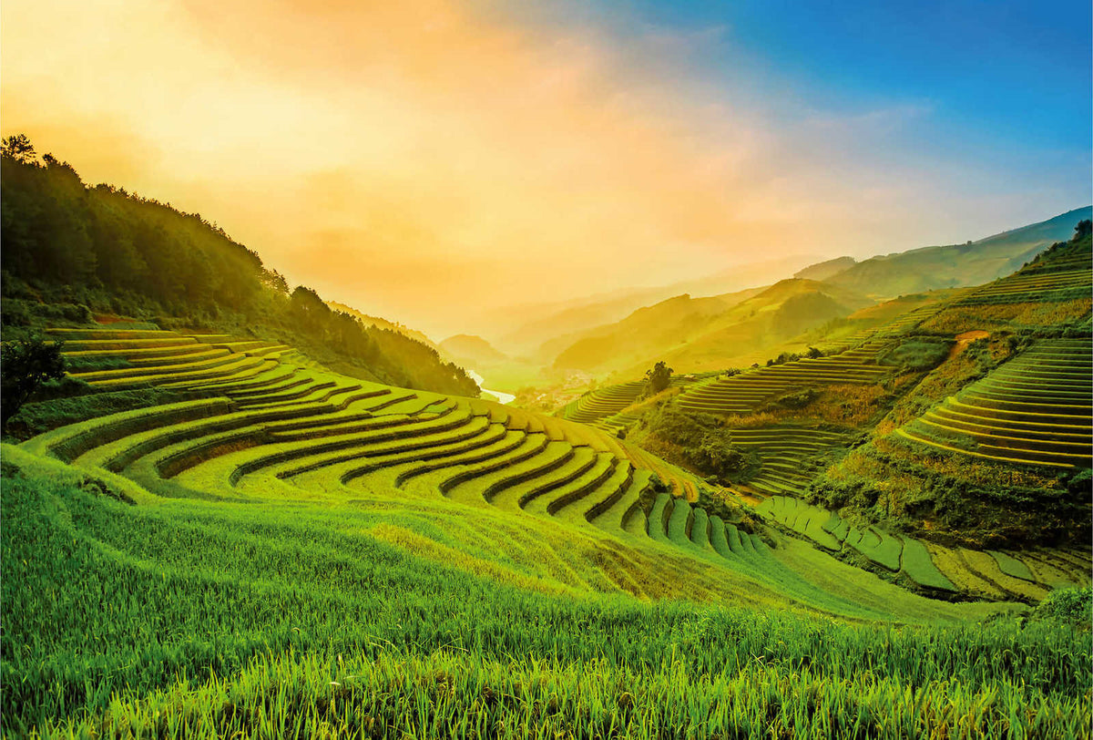 Fotomural Vietnam rice fields at sunrise mural - DD Motive 2