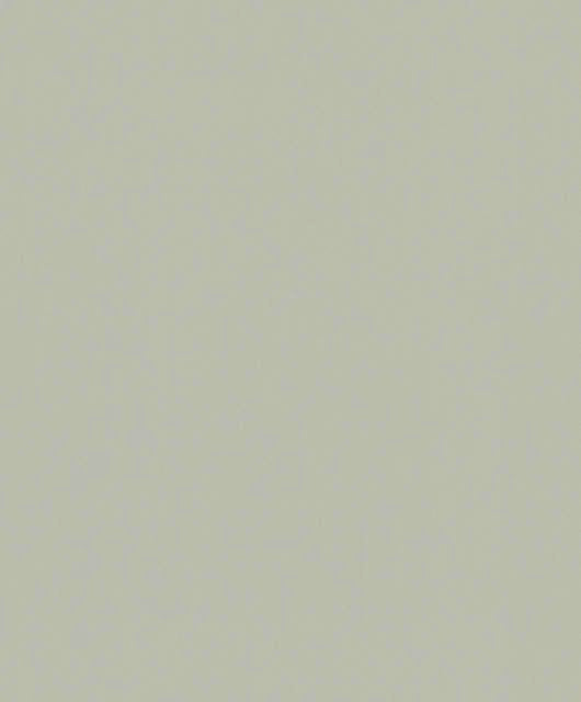 Vliestapete grau, beige einfarbig