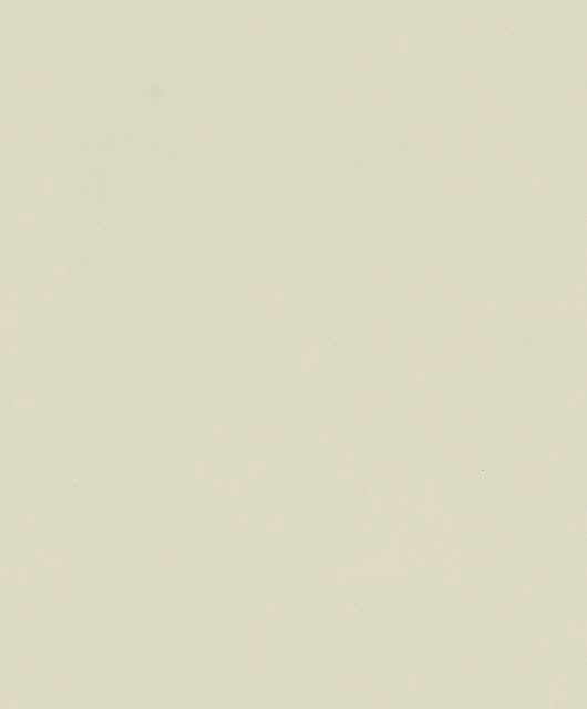 Vliestapete beige einfarbig