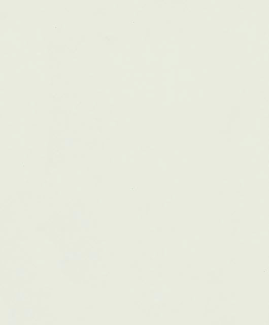 Vliestapete weiß, beige einfarbig