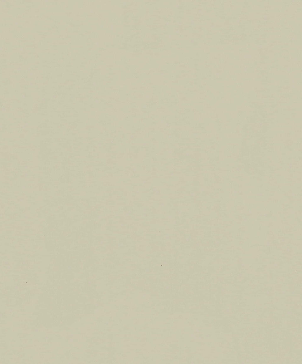 Vliestapete beige einfarbig