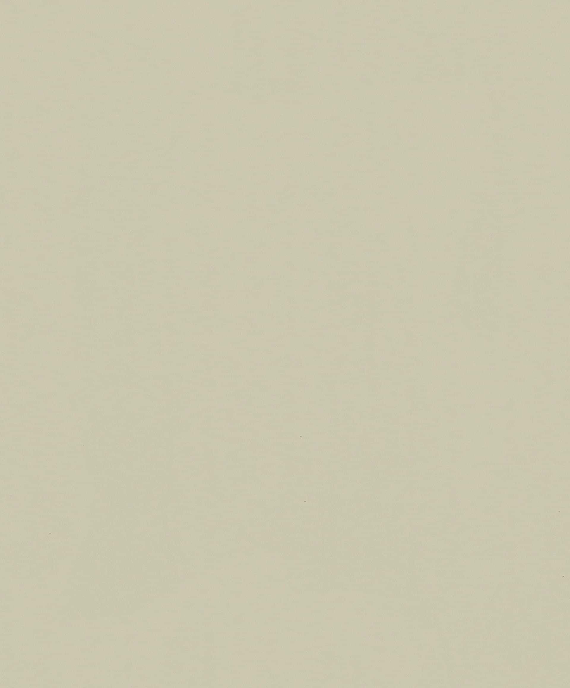 Vliestapete beige einfarbig