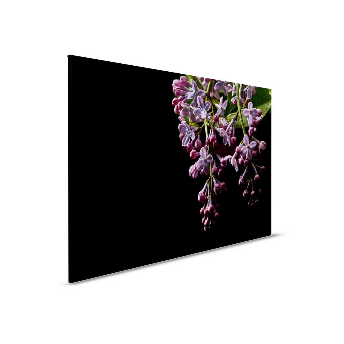 Cuadro Flores sobre fondo negro Primer plano