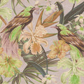 Fotomural Walls by Patel - Exotic birds 2 - Photo wallpaper exotic birds & plants- Scratch texture - Beige, Green