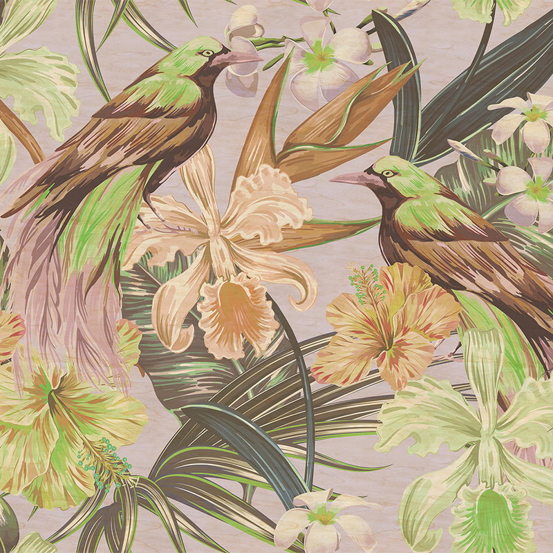 Fotomural Walls by Patel - Exotic birds 2 - Photo wallpaper exotic birds & plants- Scratch texture - Beige, Green