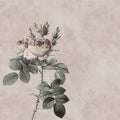 Fotomural Photo wallpaper with rose in drawing style - Walls by Patel