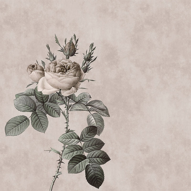 Fotomural Photo wallpaper with rose in drawing style - Walls by Patel