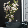 Fotomural Walls by Patel - Midnight Garden 2 - black photo wallpaper flower branch white flowers