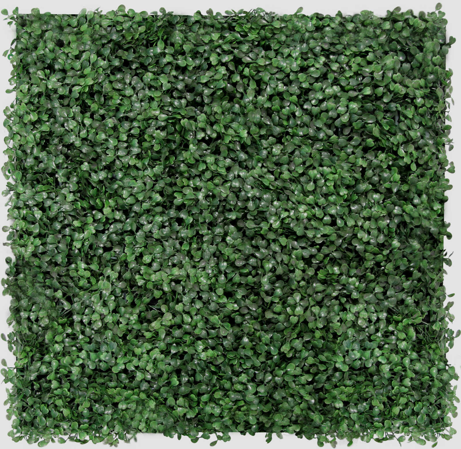 Panel Flora de Diseno Feral Green Mixed Flora - Modular Wall - Foto 21